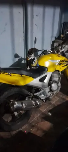 Moto twister 