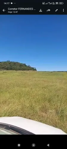 Fazenda de arrendamento pra Soja, 300hec em Cana Brava do norte MT.