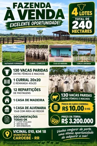 FAZENDA A VENDA EM CAROEBE RR