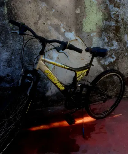 Bike aro 24