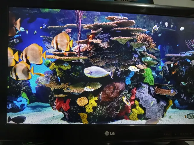 Tv lg 32 polegadas
