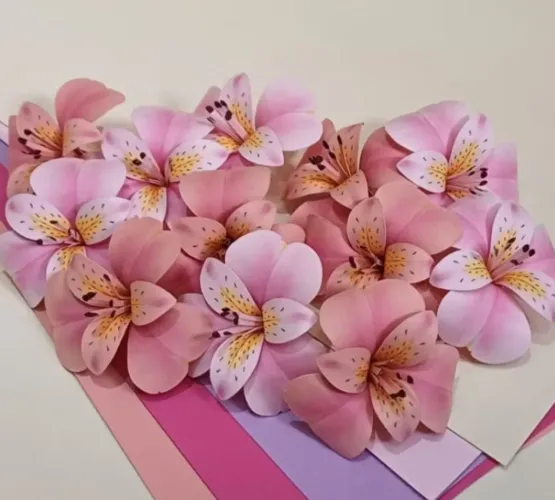 Flores de papel Astromélias