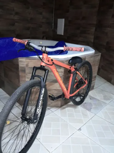Absotute