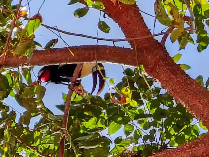 Poco x6 pro