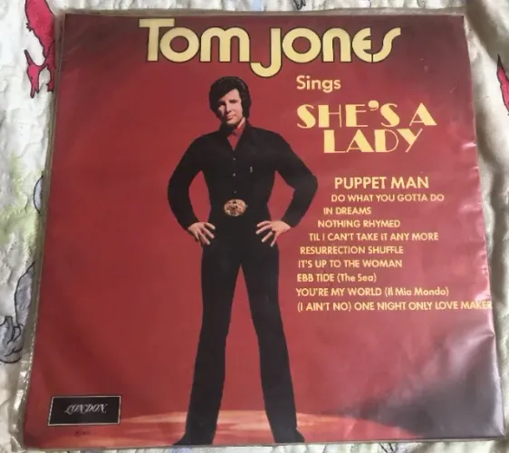 Lp vinil Tom Jones sings she's a lady (usado)