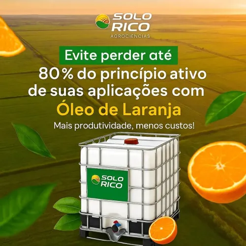 Óleo de Laranja Solo Rico - Menor Preço! 