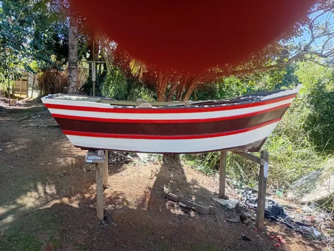 Barco novo