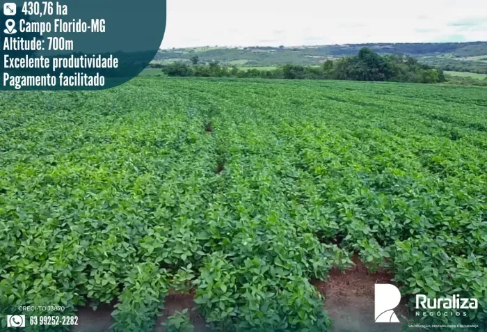 FAZENDA COM RIBEIRÃO, REPRESA E NASCENTES | 242 HA EM PRODUÇÃO