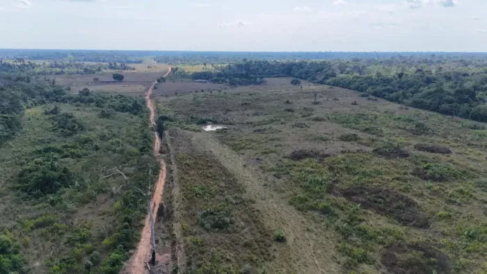 Fazenda em Canutama de 954,00 HA