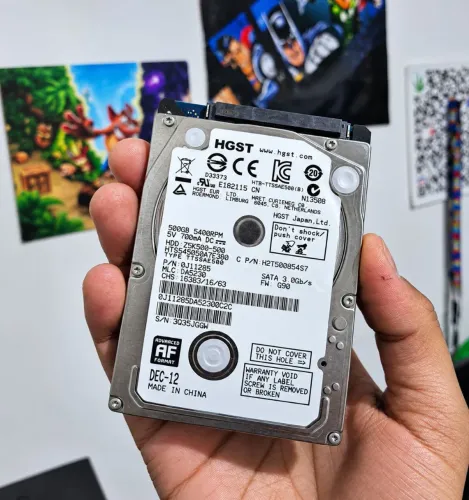 HDD HGST 500GB Backup