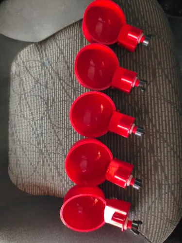 Bebedouro automático para aves 