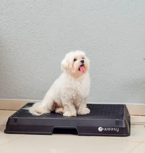Banheiro Pet-Weasy tamanho M