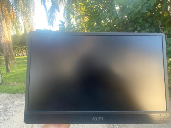 Monitor Portátil MSI PRO MP161 E2