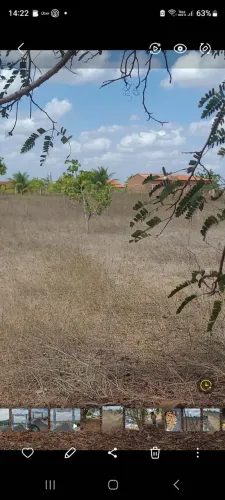 Terreno 