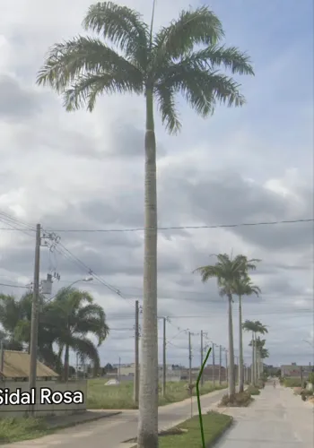 Vendo lote parque das palmeiras em sooretama
