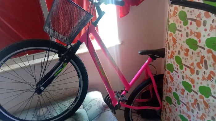 Bicicleta