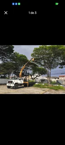 Locação de caminhão munk