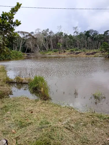 Sítio na Br 319