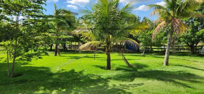 Sítio com 3 dormitórios à venda, 24200 m² por R$ 1.400.000,00 - Atuau - Elias Fausto/SP