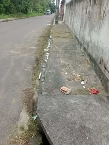 Capinação, e roçagem
