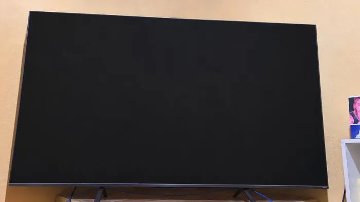 TV 65? sem imagem, retirada de peças