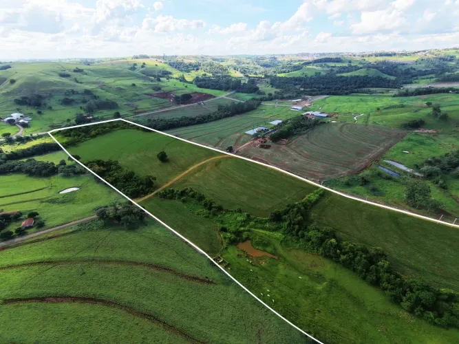 Sítio de 7 Alqueires em Jandaia do Sul