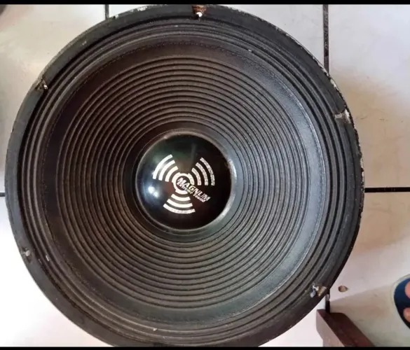 Fones de 15 magno MRS