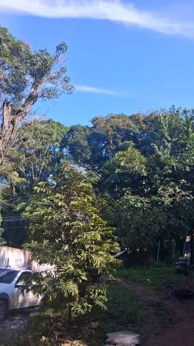 Serra Cantareira mil metros