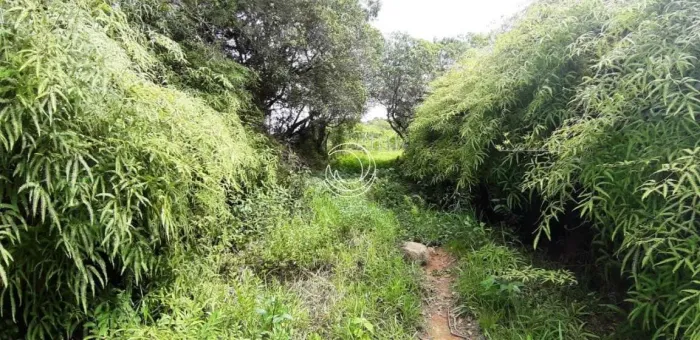 Terreno para Venda em Florianópolis, Santo Antônio De Lisboa