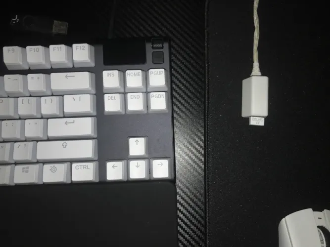 Apex pro  tkl + razer Deathadder v3 pro 