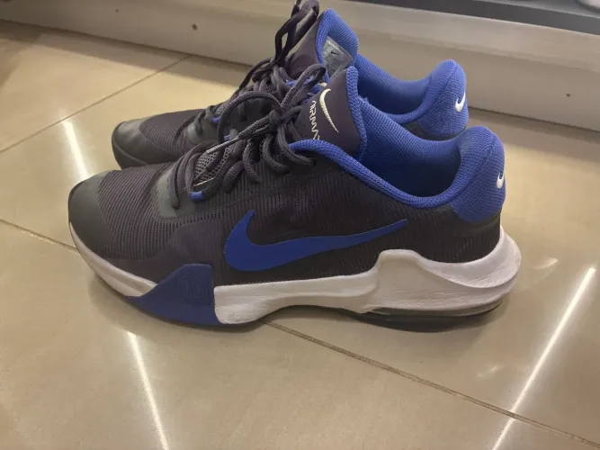 Nike Air Max Impact 4