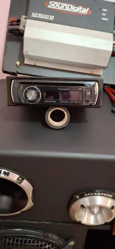 Pioneer golfinho ?