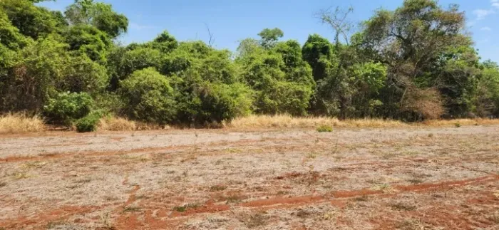 Fazenda à Venda em Diorama-GO | 34 Alqueires