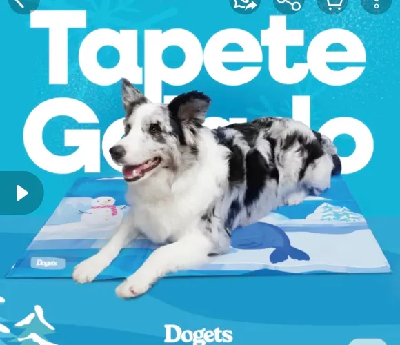 Tapete Refrescante Pet Gelado Tamanho M 90x60cm Dias Quentes Verão Cachorros Gatos Frescor