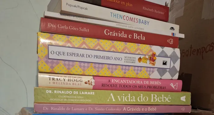 Lote de Livros Sobre Gravidez