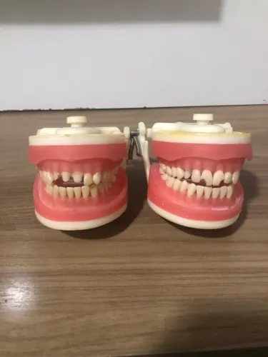 Manequins de dentistica usados