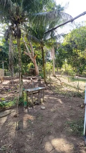 Vendo terreno em monte gordo