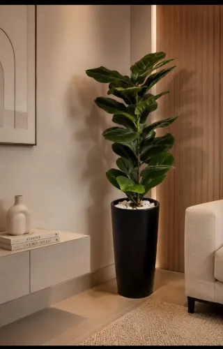 Vaso grande com Ficus Lyrata 1,30 metros