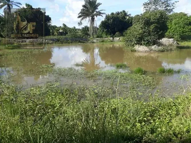 Linda Fazenda com 15 hectares estruturada de tudo na região de vera cruz