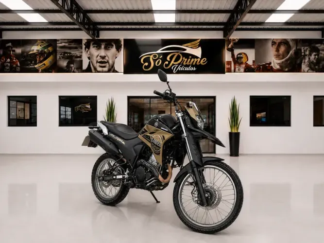 Yamaha XTZ Flex Manual