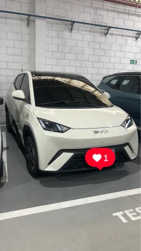 BYD Dolphin Mini (Elétrico) 2027