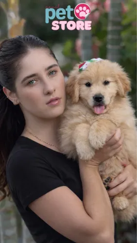 GOLDEN RETRIEVER FÊMEA