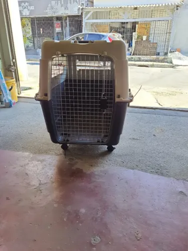 Caixa de Transporte de Animais