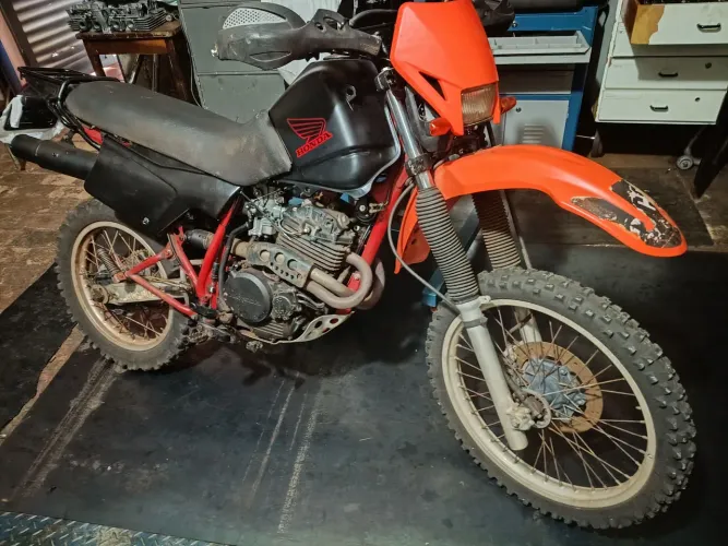 XLX 250 trilha