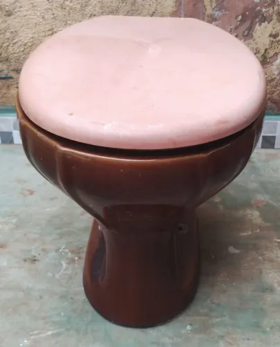 Lindo Vaso sanitário com tampa
