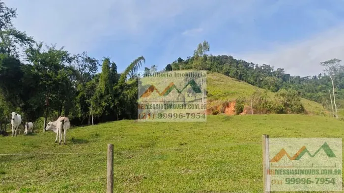 10 alqueires para criação equivalente a 484.000 m²
