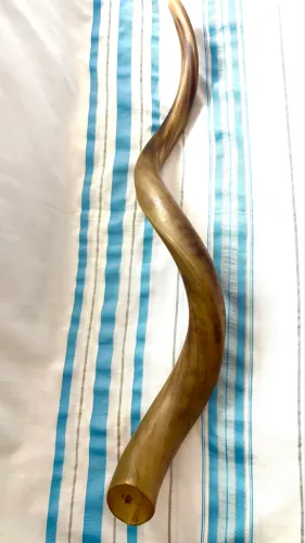 Shofar de Antílope Importado de Israel