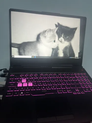 notebook asus tuf a15 gaming