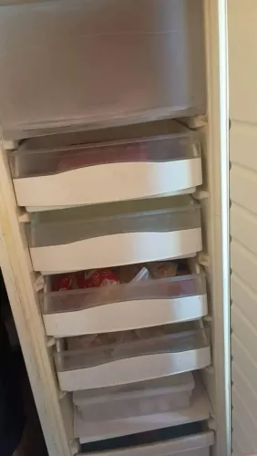 Freezer vertical