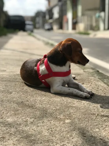 Em busca de um namorado!!!